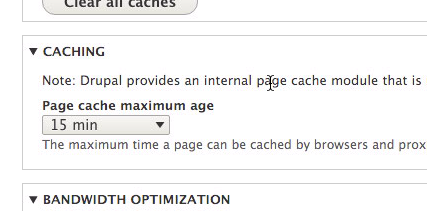 Set page cache maximum age