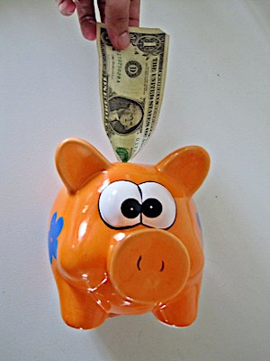 Dollar in a Piggy bank