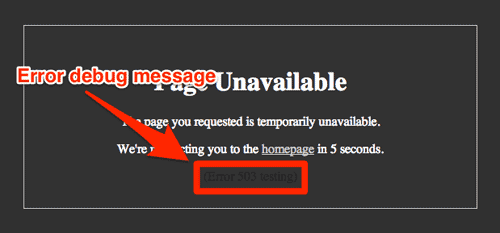 Varnish error debug message