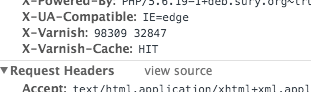 Varnish cache hit in Drupal 8