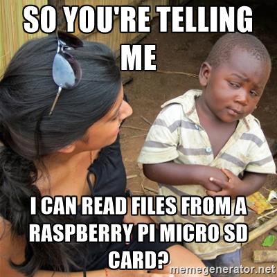 So you're telling me I can read files from a Raspberry Pi microSD card?