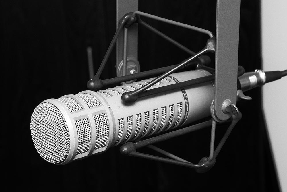 Electro-Voice RE20 classic black and white mounted in shock mount microphone EV