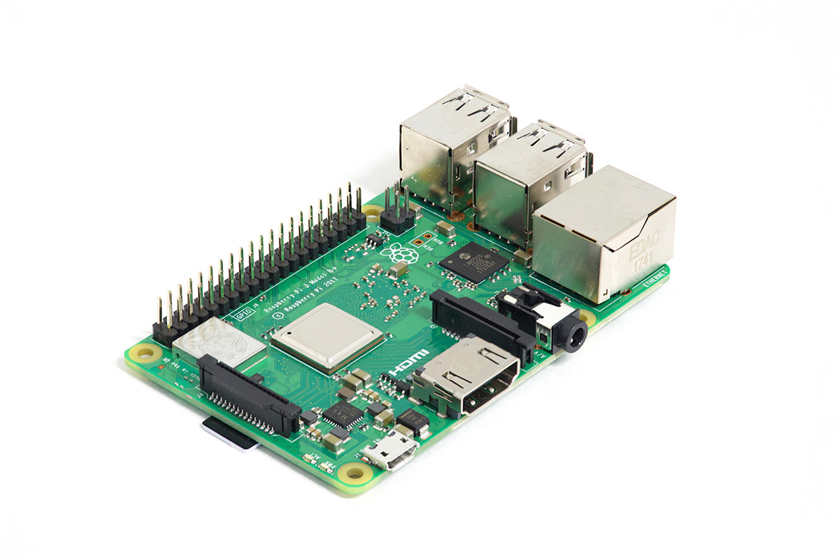 Raspberry Pi focus stack final Photoshop post-processed image
