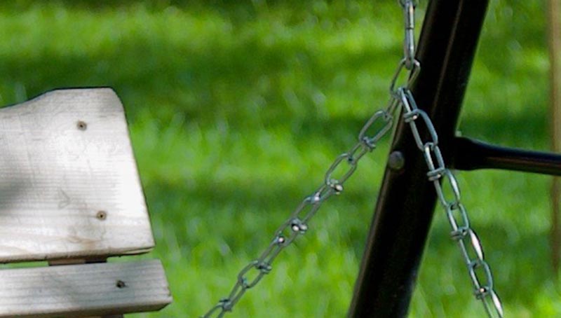 Swing in backyard - 100% crop on Nikon 24-70mm 2.8 lens