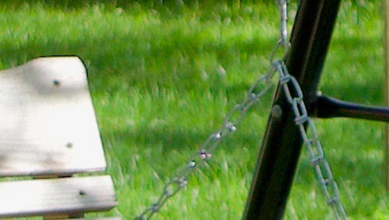 Swing in backyard - 100% crop at f/2.8