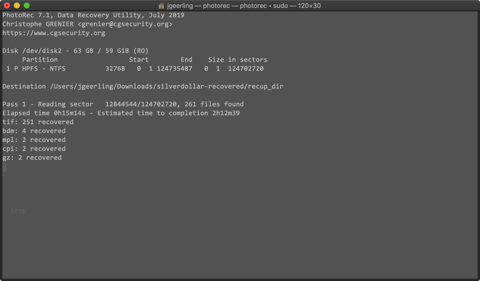 PhotoRec Processing Images