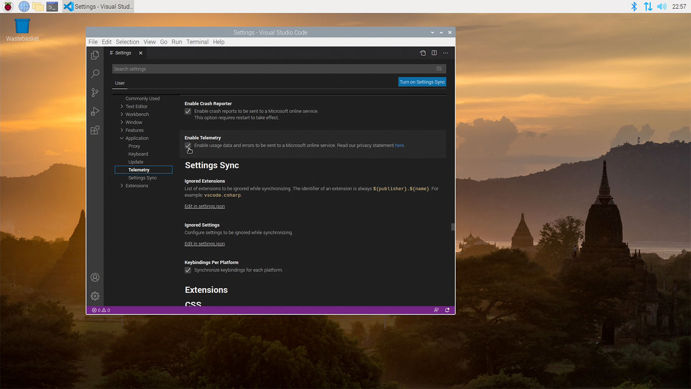 VSCode Telemetry option on Raspberry Pi