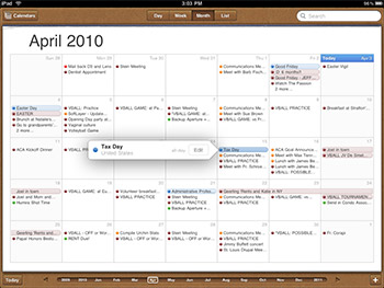 Calendar App on iPad - Month View