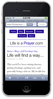 Lifeisaprayer.com - Responsive design on iPhone 4s