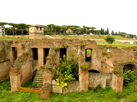 The Remains of the Circus Maximus