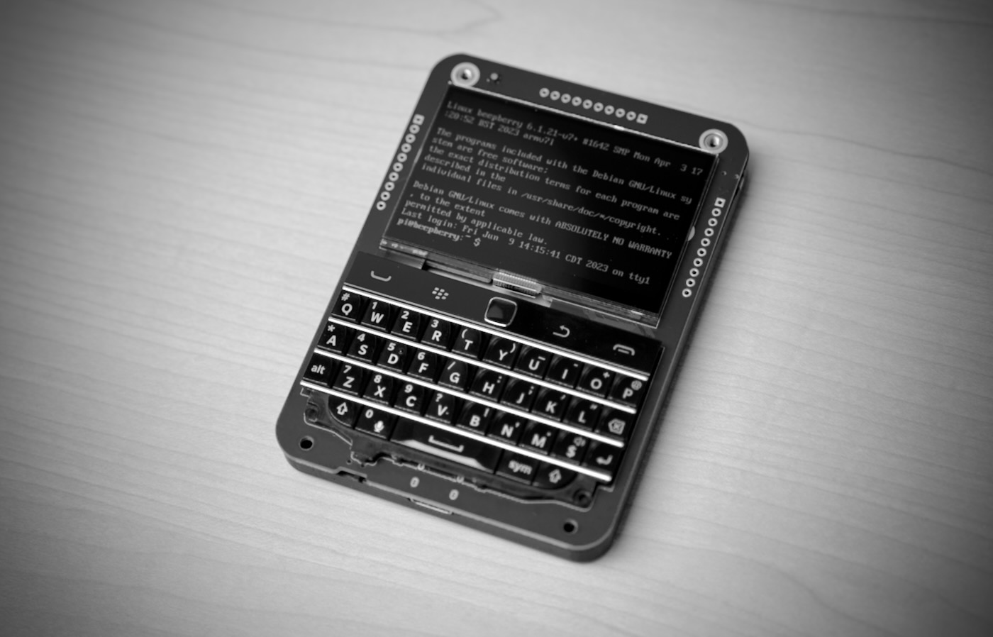 Beepberry Board Black and White