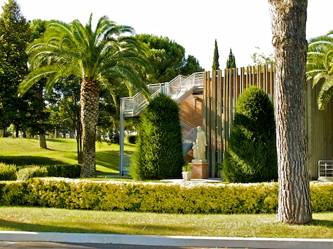Salesianum - Side View with Palm Tree